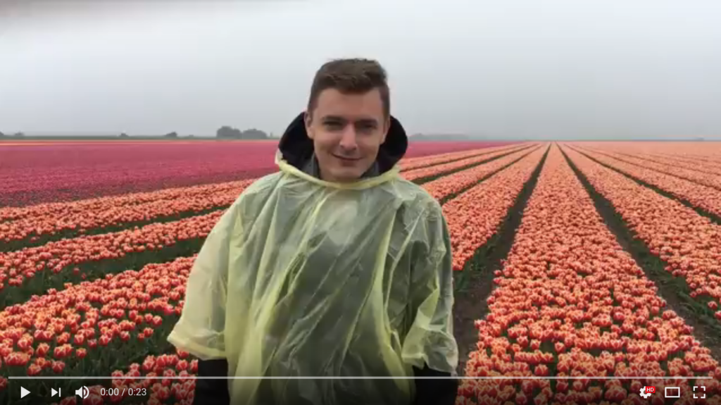 Zdravíme z tulipánového pole